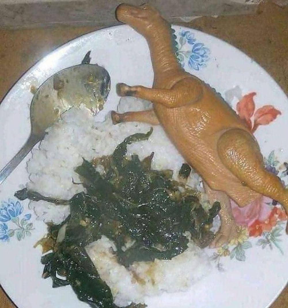 aksi kocak bikin ngakak saat makan (instagram.com/duhreceh.id)