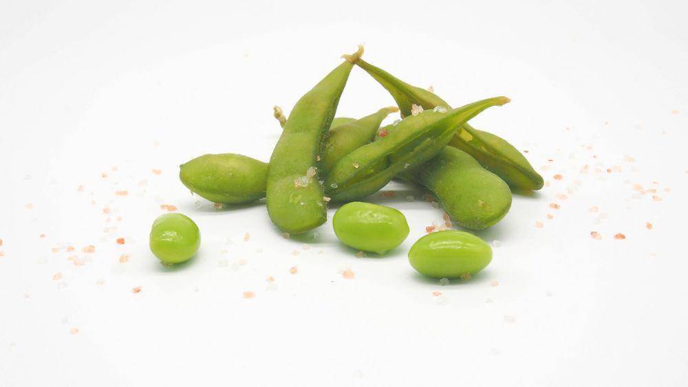 Ilustrasi edamame (pixabay.com/u_9vstifjx)
