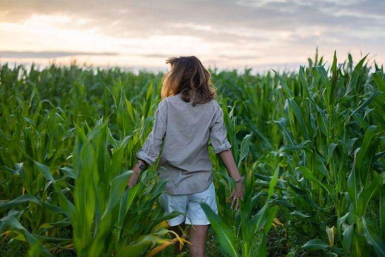 Ilustrasi perasaan dilematik (unsplash.com/fedotov_vs)