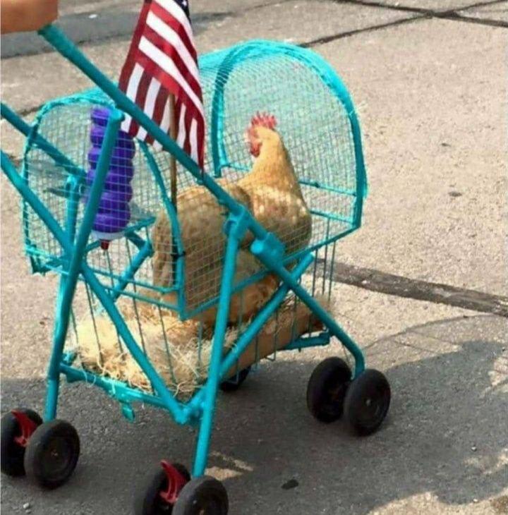 karya insinyur kepepet (reddit.com/calibrafo)