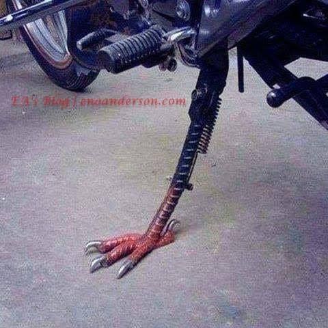 standar motor dan sepeda (enoanderson.com)