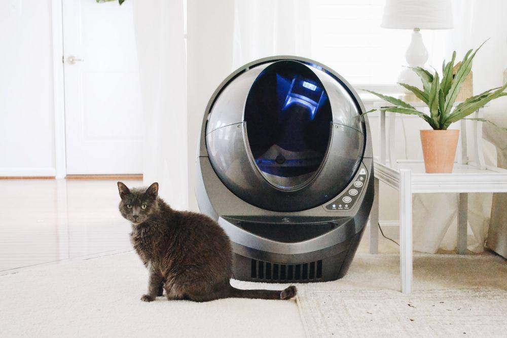 ilustrasi litter box (unsplash.com/Litter Robot)
