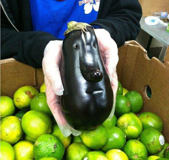 ilusi optik pada makanan (reddit.com/OmegaWhoopiGoldberg)
