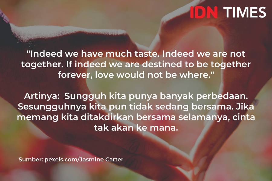 Quotes Bahasa Inggris tentang cinta (IDN Times/M. Tarmizi Murdianto)