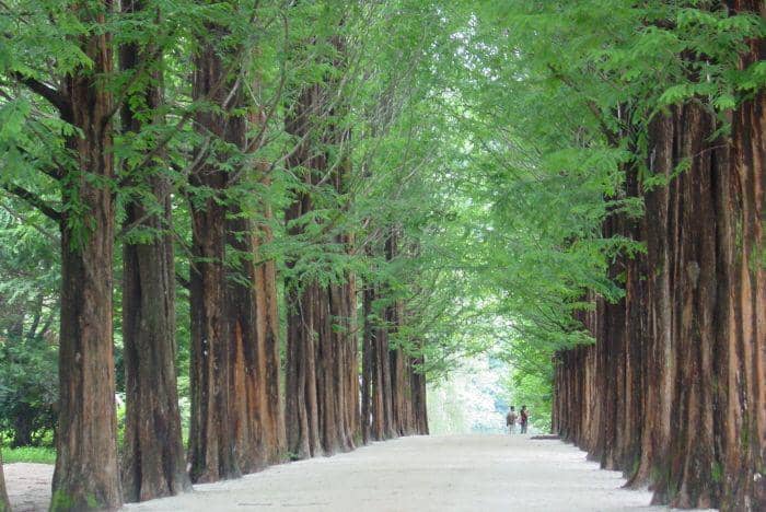 Panduan Spot Drakor di Seoul untuk Keluarga, No Antri dan Lebih Worth!