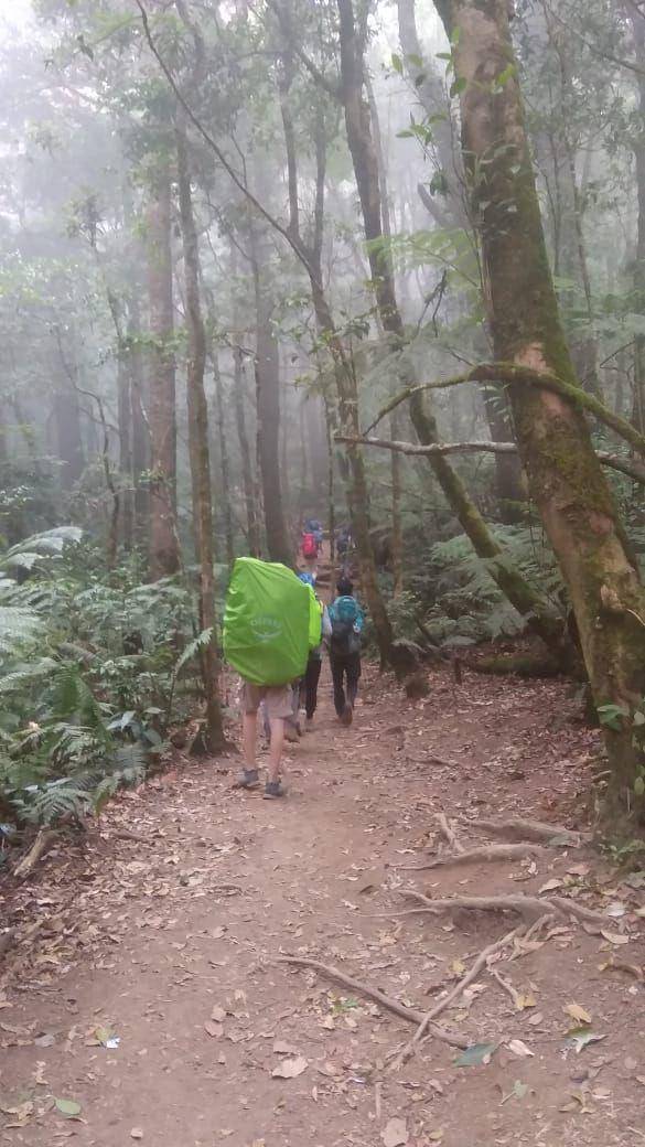 Ilustrasi pendakian Gunung Gede (Istimewa)