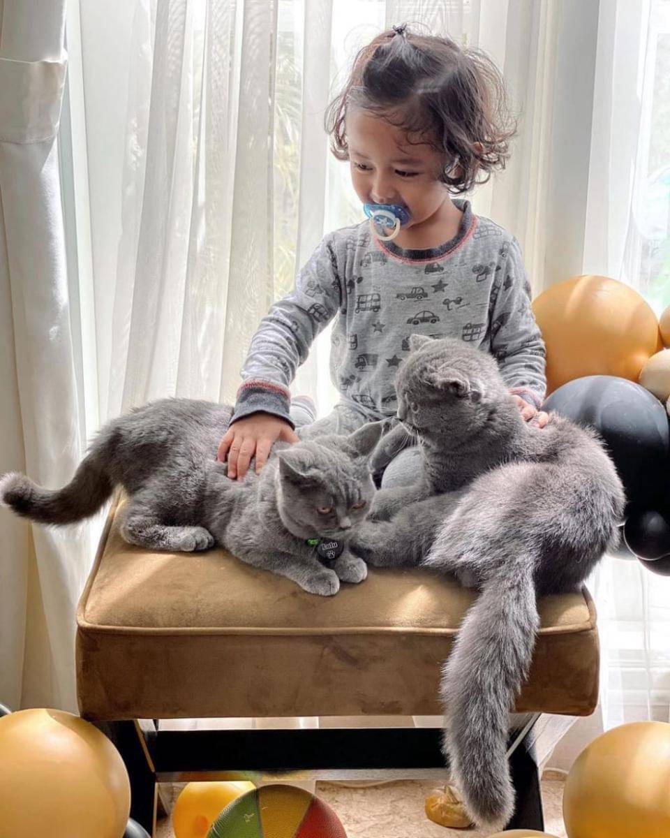 Ramy Alfie Utomo (instagram.com/ririndwiariyanti)