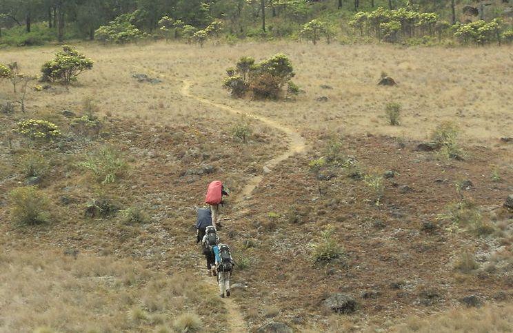 9 Fakta Gunung Argopuro, Jalur Pendakiannya Terpanjang di Pulau Jawa