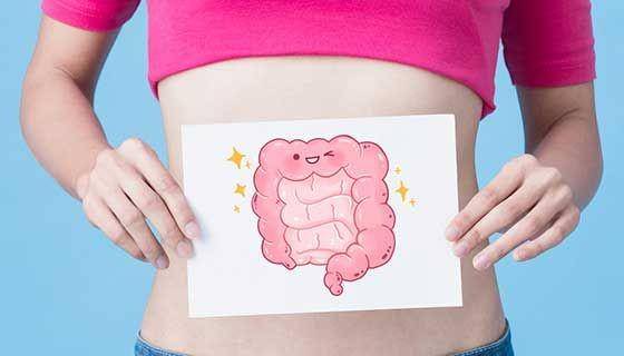 ilustrasi kesehatan sistem pencernaan (hopkinsmedicine.org)