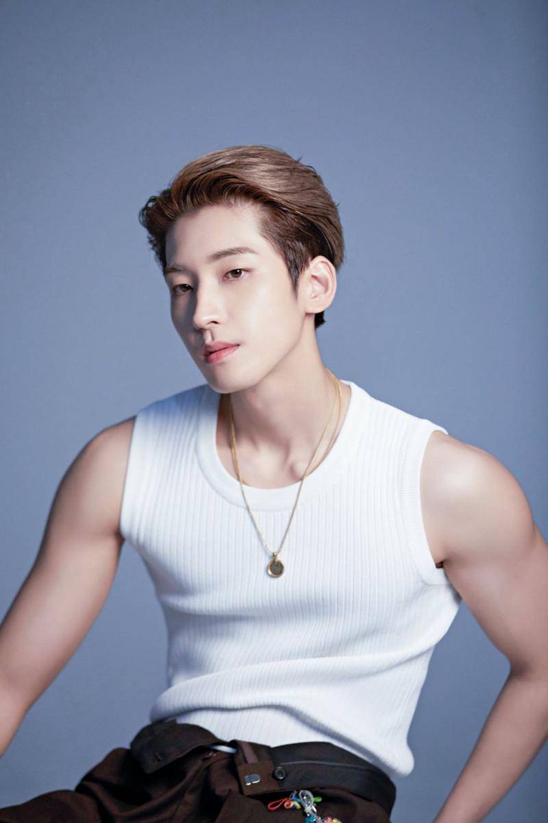 Wonwoo SEVENTEEN (twitter.com/pledis_17)