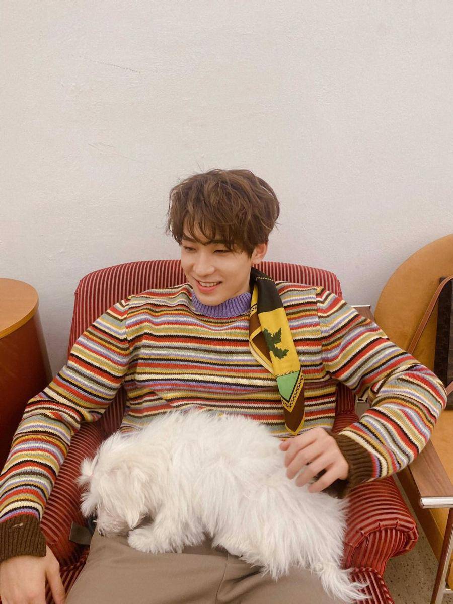 Wonwoo SEVENTEEN (twitter.com/pledis_17)