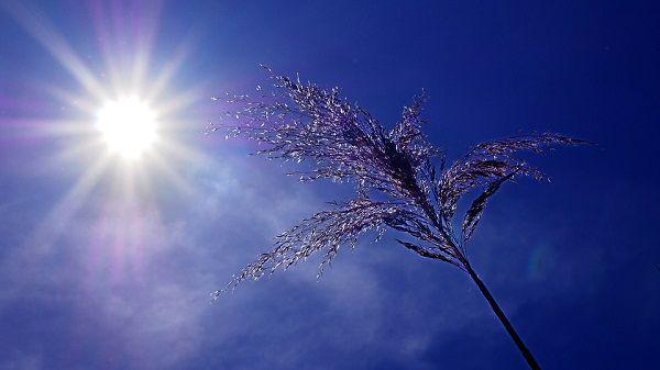 Gelombang Panas Hantam Eropa, Suhu Capai 40 Derajat Celcius!