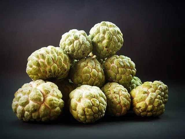 ilustrasi buah srikaya (Pixabay/41330)