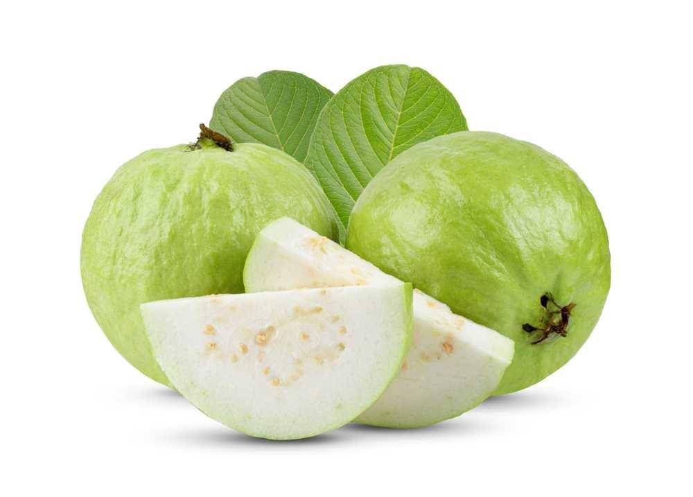 ilustrasi jambu batu (Shutterstock/Pukao)