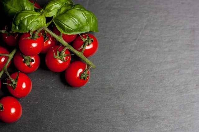 ilustrasi buah tomat ceri (Shutterstock/inproperstyle)