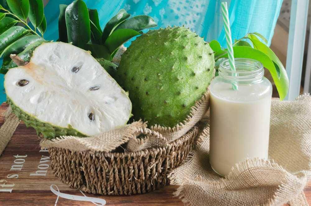 ilustrasi buah sirsak (Shutterstock/Francisco. R. Herna)