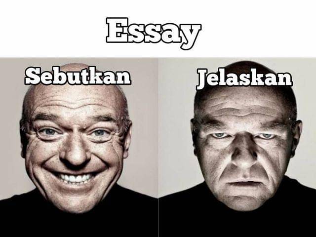 meme ekspresi (instagram.com/bu__meme)