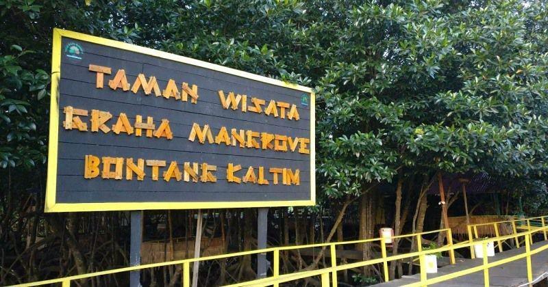Surga Ekowisata Graha Mangrove di Bontang yang Memesona