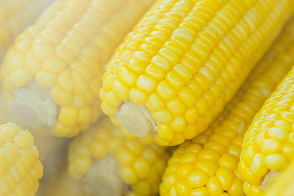 jagung (Pexels.com/NEOSiAM2021)