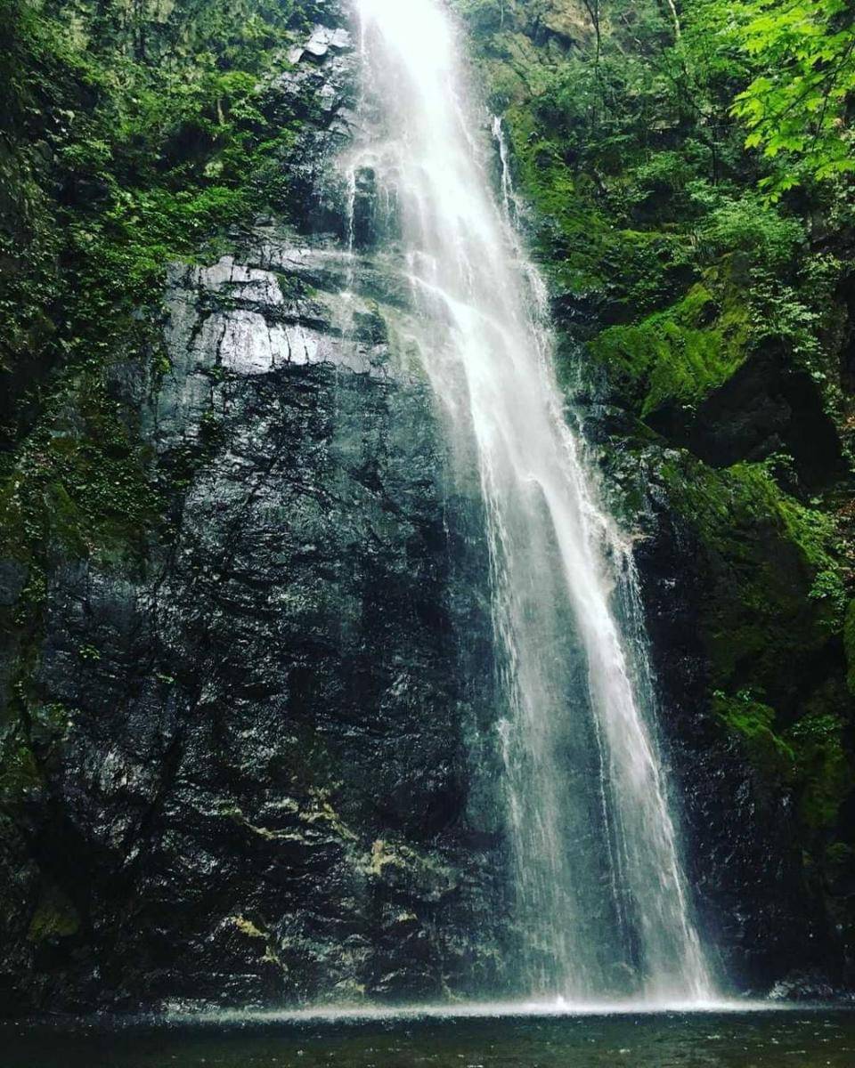 Kawanori (instagram.com/taketerun)