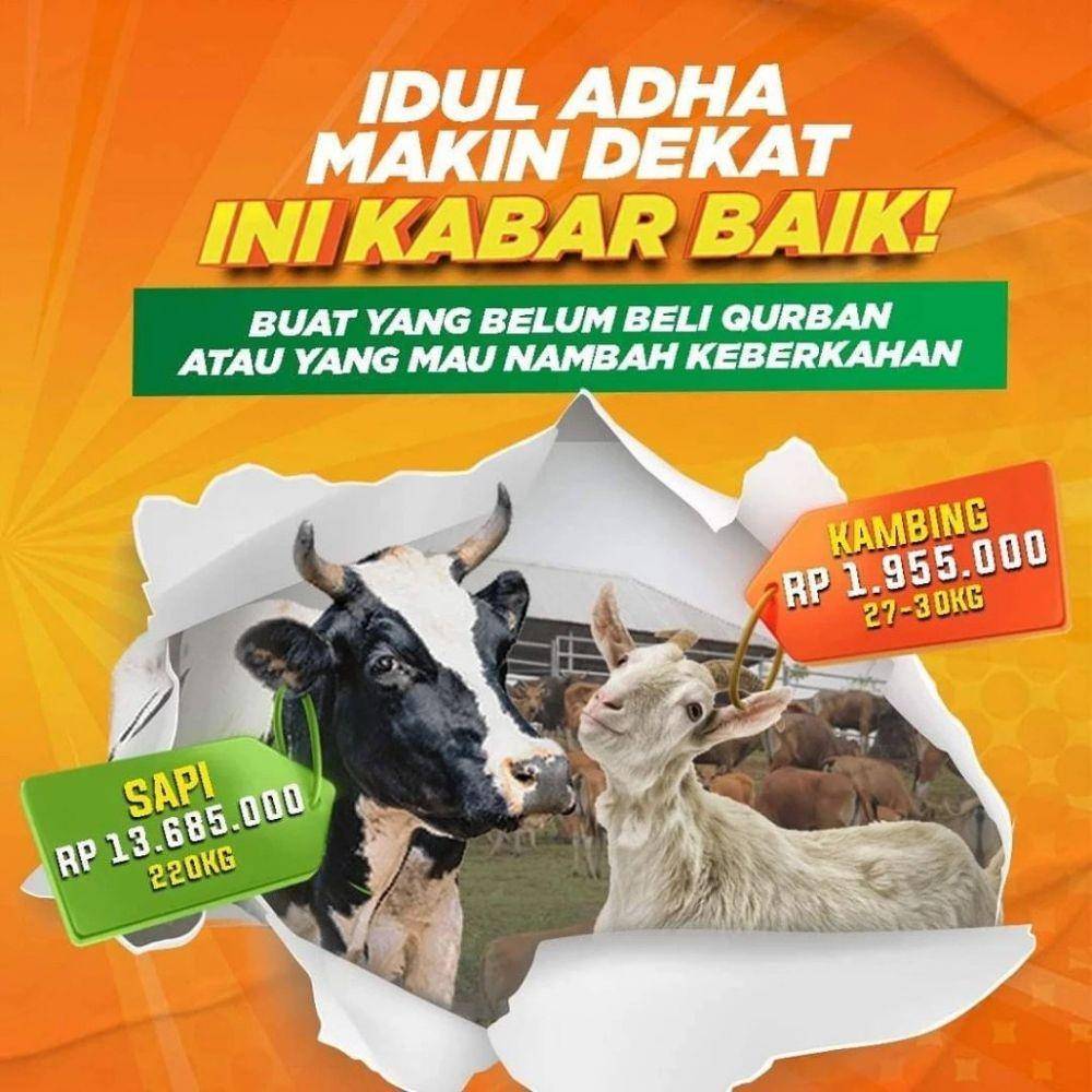 Dok. ACT