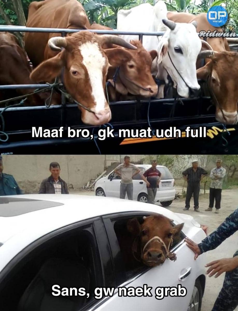 meme Idul Adha (facebook.com/Ridwan)