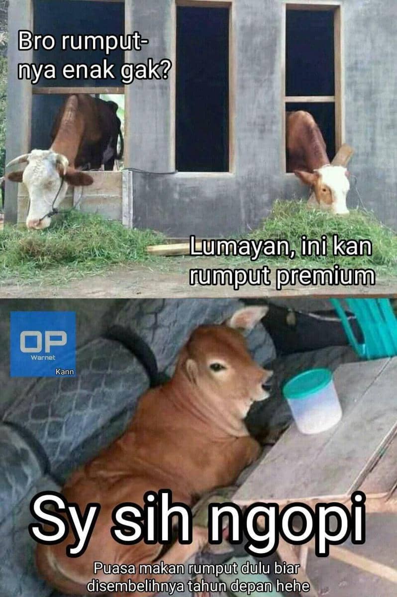 meme Idul Adha (facebook.com/Kann Chan)