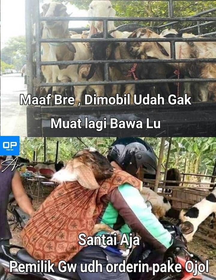 meme Idul Adha (facebook.com/Syaddad Ar)