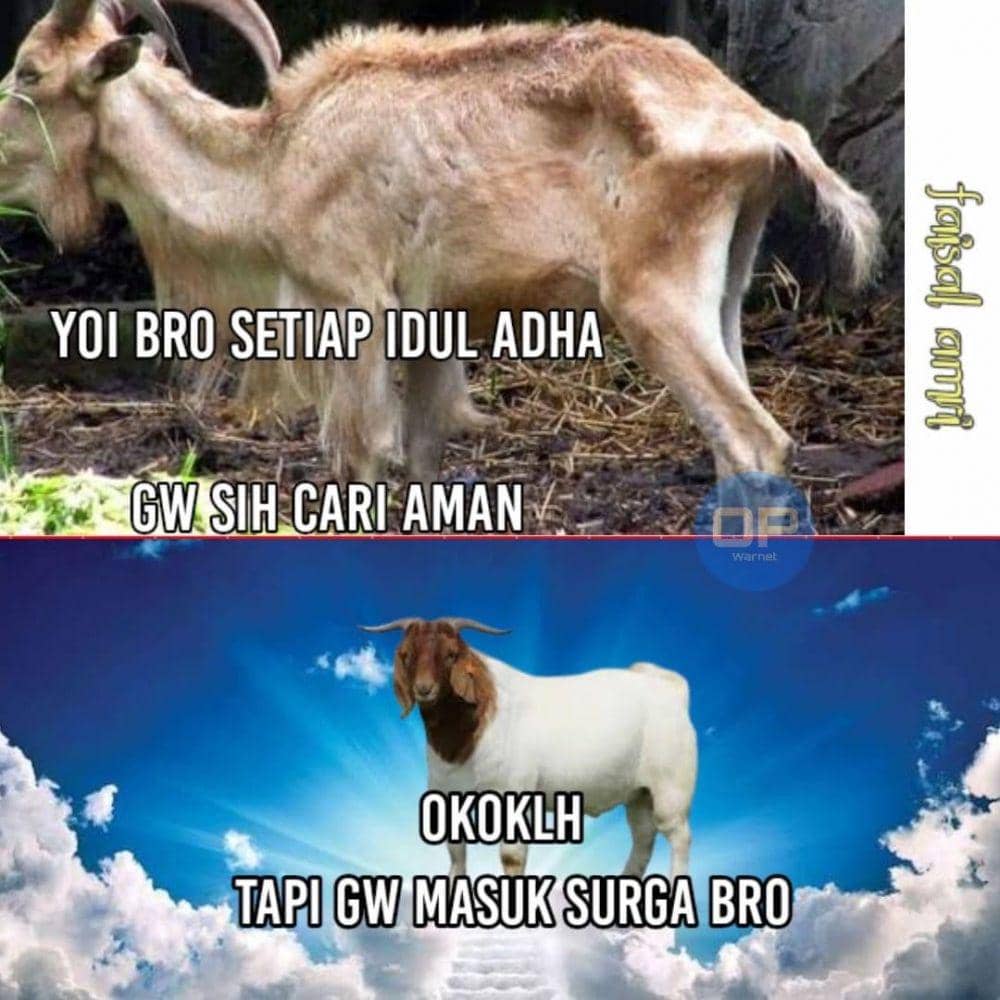 meme Idul Adha (facebook.com/Faisal Amri)