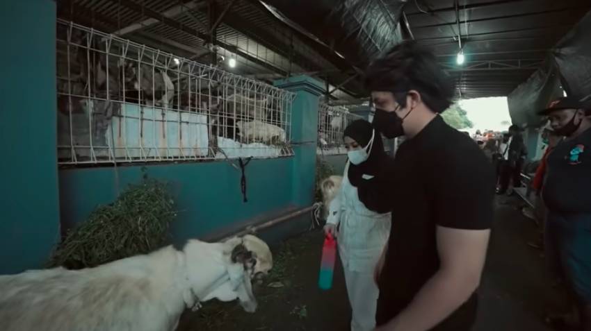 Atta dan Aurel beli persiapan hewan kurban (youtube.com/AH)