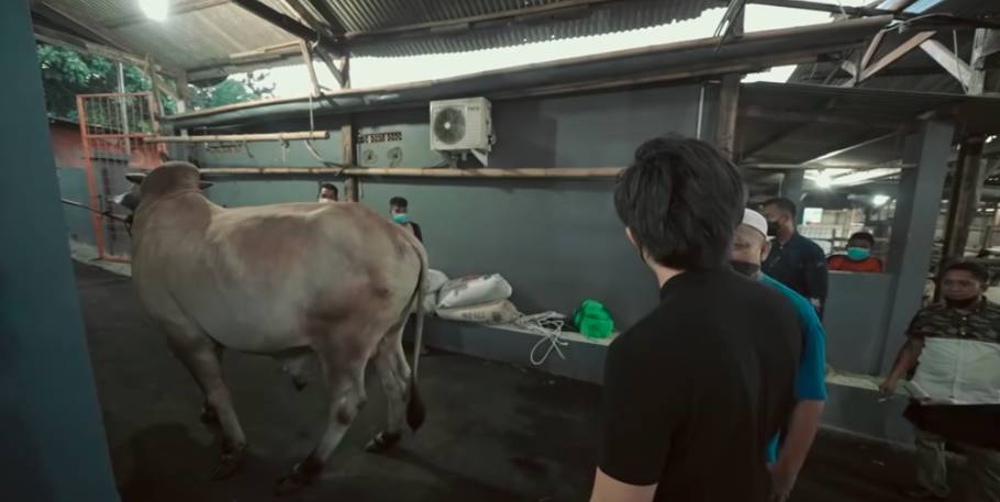 Atta dan Aurel beli persiapan hewan kurban (youtube.com/AH)