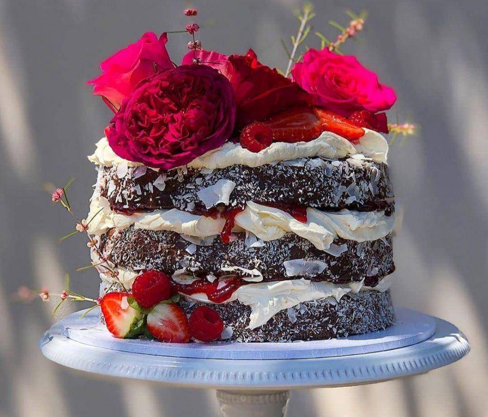 ilustrasi lamington (Instagram.com/highteasociety)