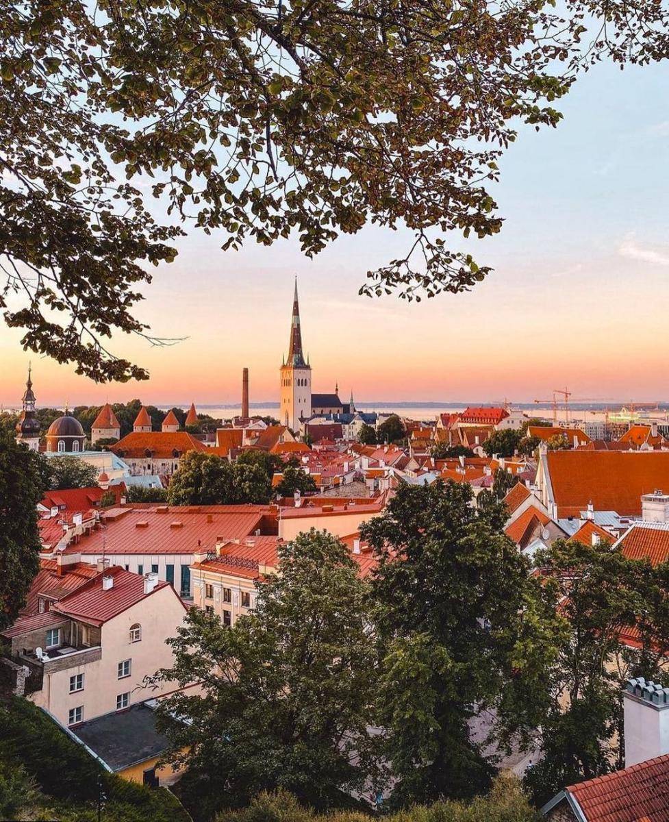 Potret Kota Tallinn di Estonia (instagram.com/traveller_stories)