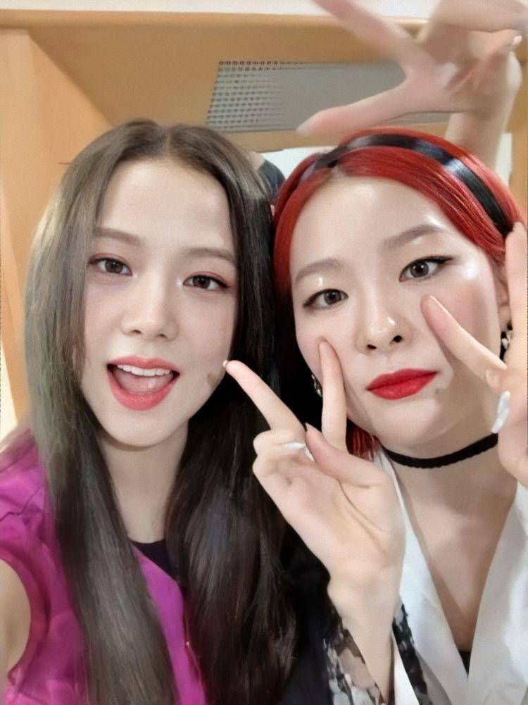 Jisoo and Seulgi (dok. SMtown)