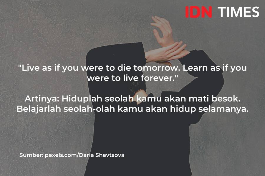 Caption bijak dalam Bahasa Inggris (IDN Times/M. Tarmizi Murdianto)
