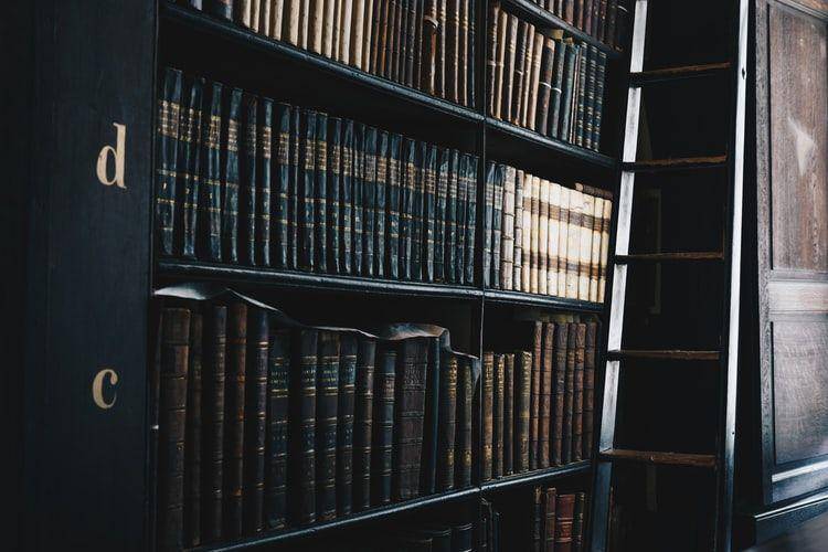 Ilustrasi buku di rak (Unsplash.com/Giammarco)