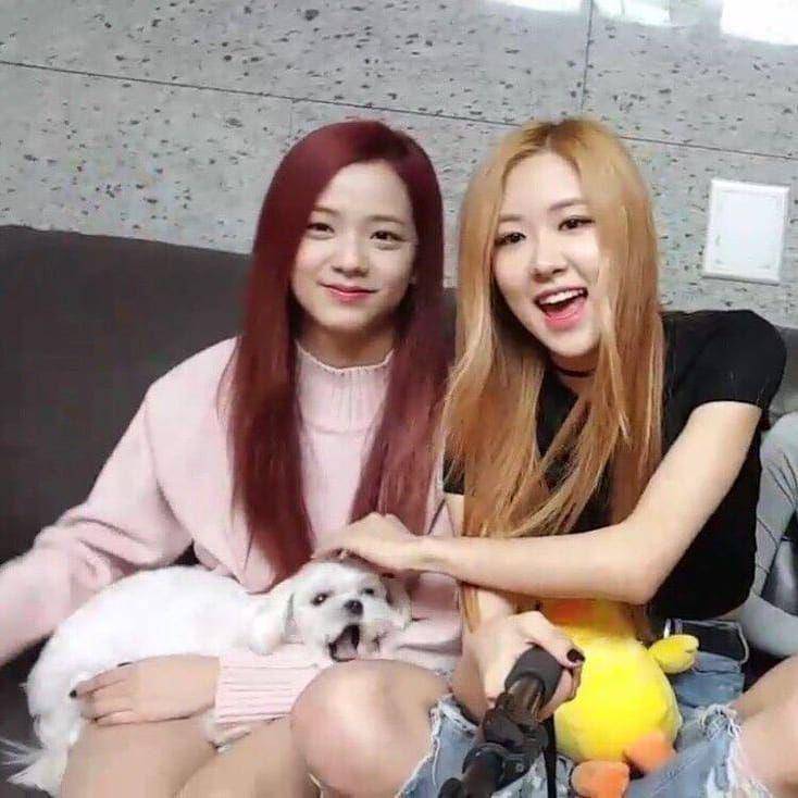 foto Dalgom dan anggota BLACKPINK (instagram.com/dalgom.ygent)