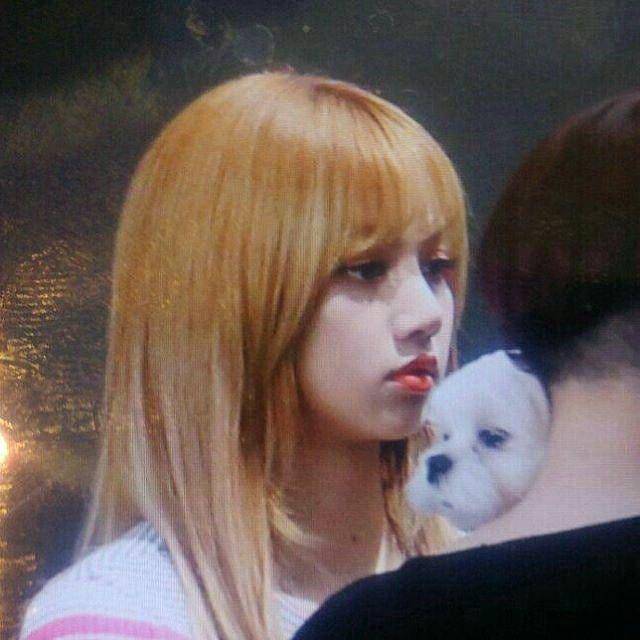 foto Dalgom dan anggota BLACKPINK (instagram.com/dalgom.ygent)