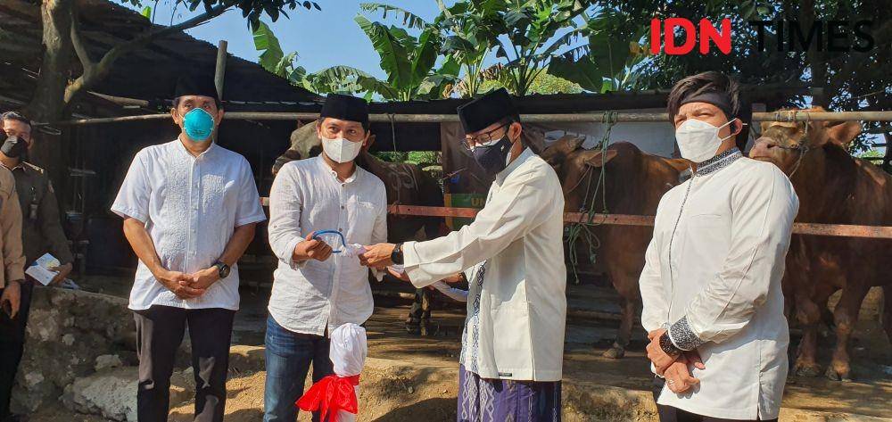 Sandiaga uno memberikan hewan kurban di salah satu RPH di Kecamatan Sukmajaya, Kota Depok. (IDNTimes/Dicky)