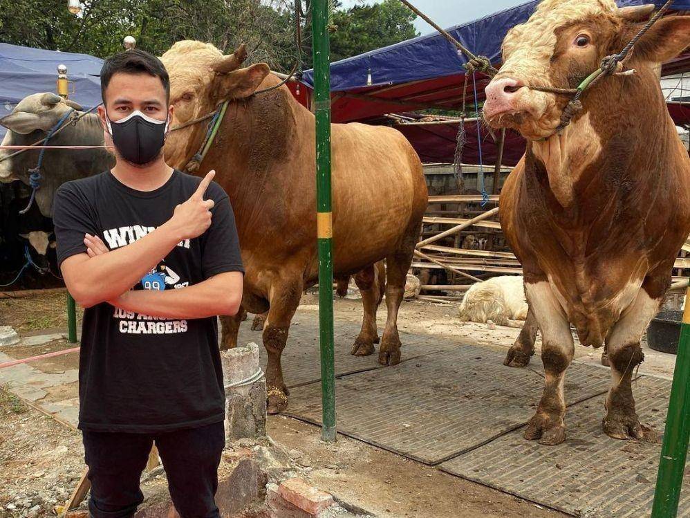 Raffi Ahmad kurban (instagram.com/raffinagita1717)