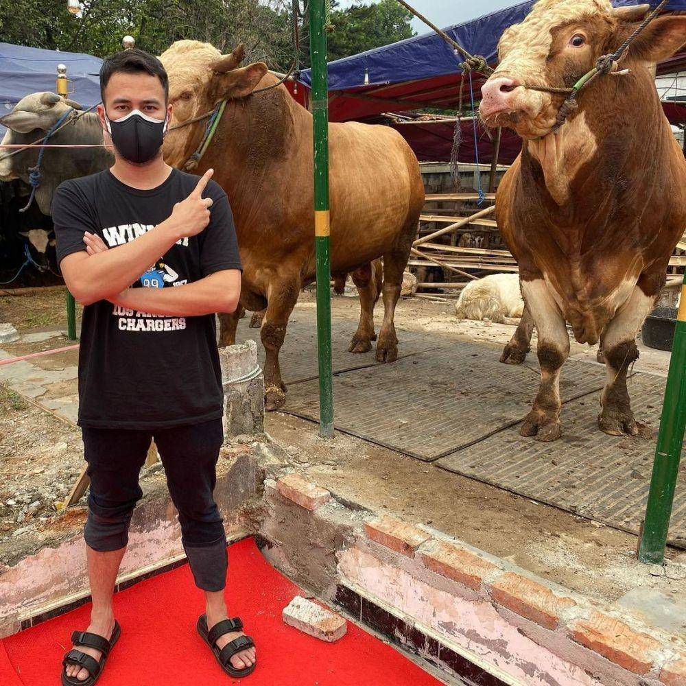 Raffi Ahmad kurban (instagram.com/raffinagita1717)
