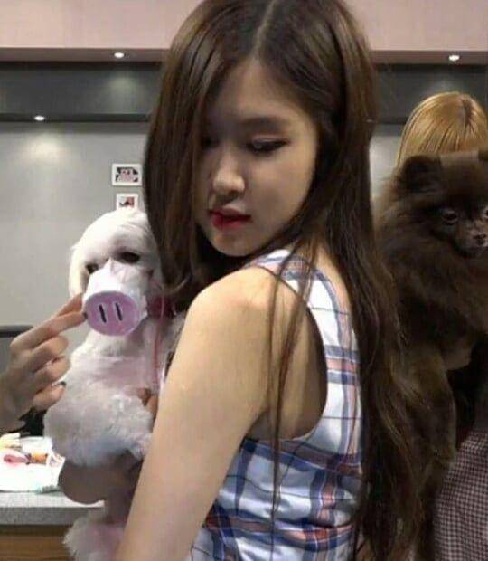 foto Dalgom dan anggota BLACKPINK (instagram.com/dalgom.ygent)