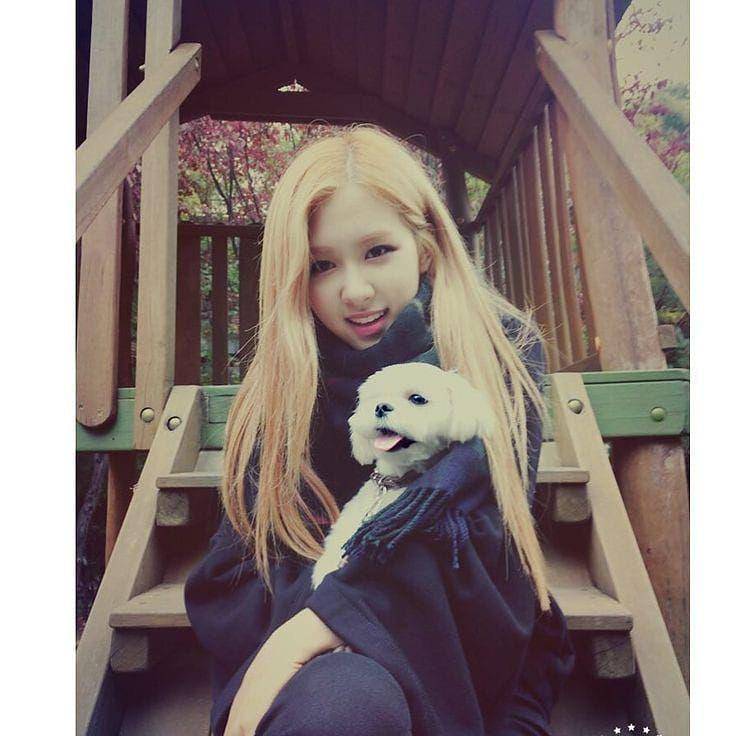 foto Dalgom dan anggota BLACKPINK (instagram.com/dalgom.ygent)