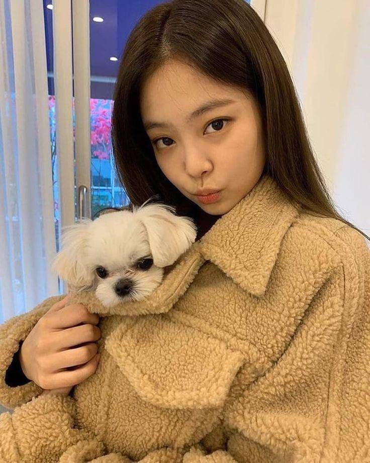foto Dalgom dan anggota BLACKPINK (instagram.com/dalgom.ygent)