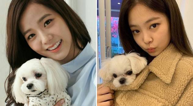 foto Dalgom dan anggota BLACKPINK (instagram.com/dalgom.ygent)