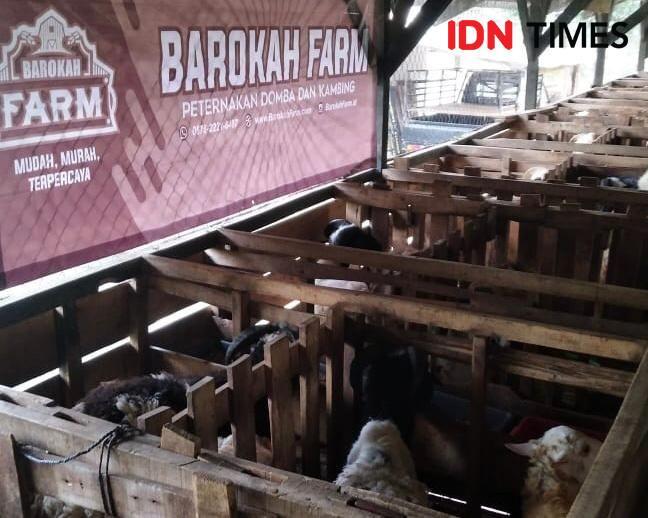 Cerita Juragan Millennial Buka Bisnis Jasa Titip Sembelih Hewan Kurban