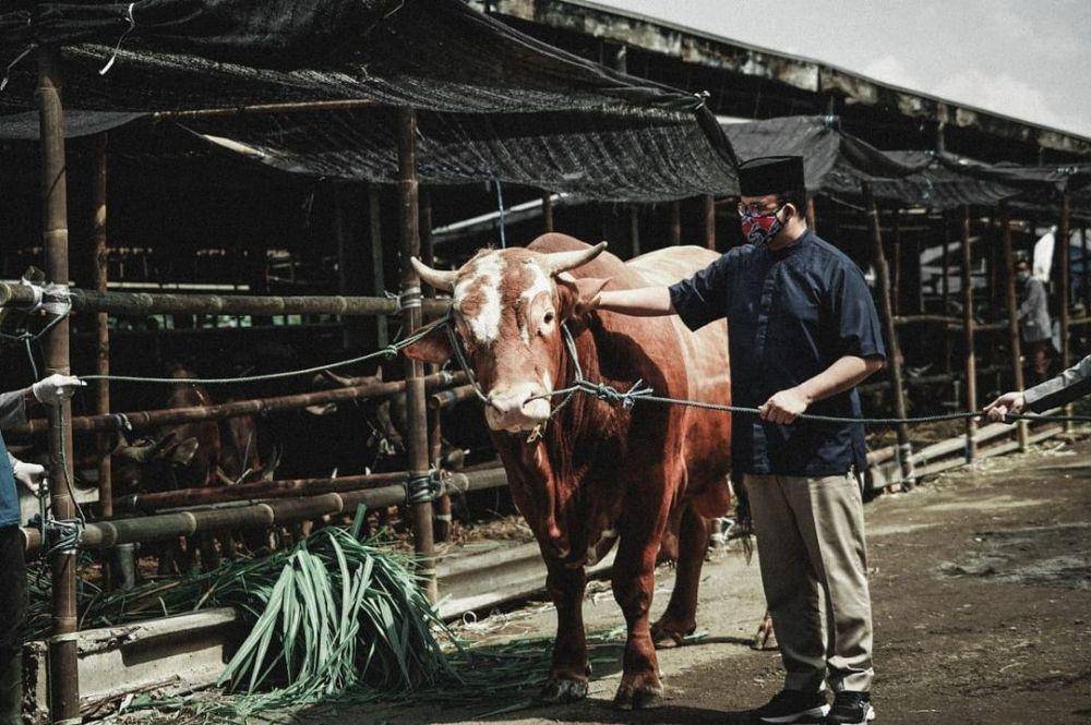 Anies serahkan sapi kurban Limosin di RPH Dharma Jaya, Cakung, Jakarta Timur pada Selasa (20/7/2021) (Instagram/aniesbaswedan)