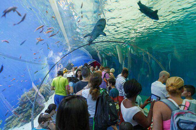 Underwater Observatory Marine Park (viator.com)