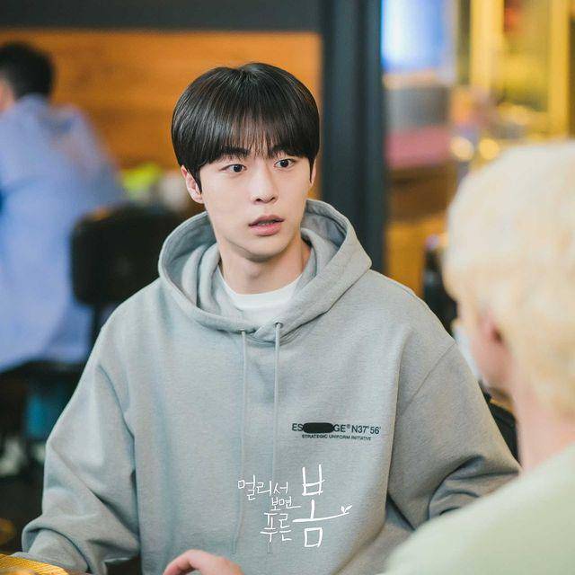 Bae In Hyuk di drama At a Distance, Spring is Green (instagram.com/kbsdrama)