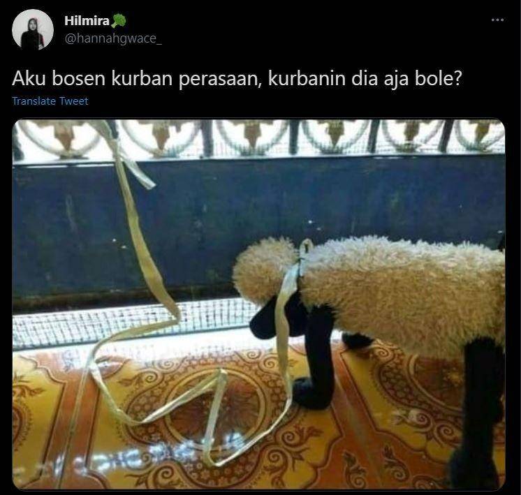 status media sosial pamer hewan kurban (twitter.com/hannahgwace_)